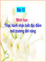 Gián án Minh hoa Bai 12 - Thuc hanh