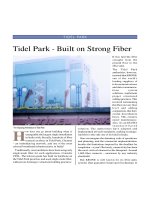 Tài liệu Case Study - Tidel park - Built on strong fiber pdf
