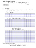 Gián án Đề thi viết chữ và trình bày bài đẹp 2010-2011