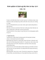 Tài liệu Kinh nghiệm trị bệnh ngộ độc thức ăn thực vật ở trâu - bò docx