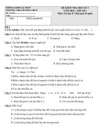 Bài soạn ĐỀ THI  TIN 8 KỲ I