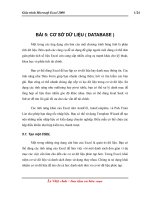 Tài liệu Giáo trình Excel - Bài 5: CƠ SỞ DỮ LIỆU ( DATABASE ) docx