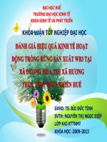 Slide ĐÁNH GIÁ HIỆU QUẢ KINH tế HOẠT ĐỘNG TRỒNG RỪNG sản XUẤT WB3 tại xã DƯƠNG hòa, THỊ xã HƯƠNG THỦY, TỈNH THỪA THIÊN HUẾ 