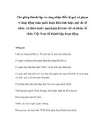 Tài liệu Cho phép thành lập và công nhận điều lệ quỹ có phạm vi hoạt động toàn quốc hoặc liên tỉnh hoặc quỹ do tổ chức, cá nhân nước ngoài góp tài sản với cá nhân, tổ chức Việt Nam để thành lập, hoạt động pdf