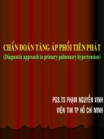 Tài liệu Chẩn đoán tăng áp phổi tiên phát ppt