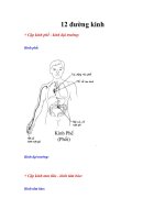 Tài liệu Giáo trình 12 đường kinh ppt