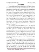 Hoàn thiện công tác kế toán lập và phân tích báo cáo kết quả kinh doanh tại công ty cổ phần đầu tư cát lâm 