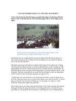 Tài liệu CON NGƯỜI KHIẾN ĐỘNG VẬT TIẾN HÓA NHANH HƠN pdf