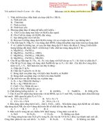Tài liệu Bài tập trắc nghiệm Hóa phần Fe và Đồng pdf