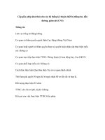 Tài liệu Cấp giấy phép khai thác cho các hệ thống kỹ thuật, thiết bị thông tin, dẫn đường, giám sát (CNS) ppt