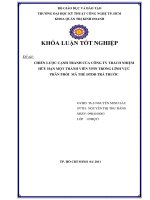 Chiến lược cạnh tranh của công ty trách nhiệm hữu hạn một thành viên VPIN trong lĩnh vực phân phối mã thẻ ĐTDĐ trả trước 