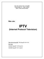 Tài liệu Internet Protocol Television doc