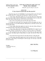 Bài giảng Báo cáo tổ chức tết Tân Mão