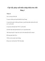 Tài liệu Cấp Giấy phép xuất khẩu (nhập khẩu) hóa chất Bảng 1 pptx