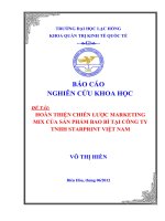 HOÀN THIỆN CHIẾN lược MARKETING MIX của sản PHẨM BAO bì tại CÔNG TY TNHH STARPRINT VIỆT NAM 