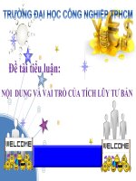 NỘI DUNG và VAI TRÒ của TÍCH lũy tư bản 