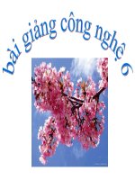 Gián án Bai_2_Lua_chon_trang_phuc