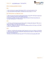 61 tuyen tap de thi dai hoc thuong mai ebook VCU bo de WTO va thuong mai dien tu can ban 