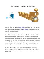 Tài liệu KHỞI NGHIỆP TRONG THẾ GIỚI ẢO pdf