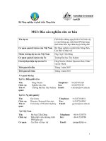 Tài liệu MS3: Báo cáo nghiên cứu cơ bản pdf