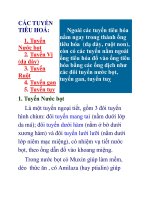 Tài liệu các tuyến tiêu hóa pptx