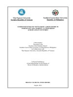 Năng lực cạnh tranh của lao động xuất khẩu việt nam trong thị trường đông bắc á so sánh giữa các nước ASEAN 