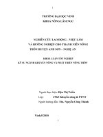 Nghiên cứu lao động   việc làm và hướng nghiệp cho thanh niên nông thôn huyện anh sơn   nghệ an 