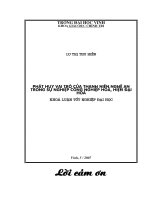 Phát huy vai trò của thanh niên nghệ an trong sự nghiệp công nghiệp hoá, hiện đại hoá 