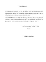 Một số biện pháp marketing nhằm nâng cao hiệu quả hoạt động kinh doanh tại công ty CP in bao bì đạt thành 