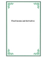 Tài liệu Fixed income and derivatives docx