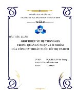 GIỚI THIỆU về hệ THỐNG GIS TRONG QUẢN lý NGẬP và ô NHIỄM của CÔNG TY THOÁT nước đô THỊ TP HCM 