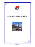 Tài liệu Sáng Kiến Kinh Nghiệm - Trần Hồng Việt Linh (Năm học: 2009 – 2010) pdf