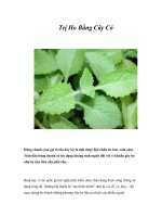 Tài liệu Trị Ho Bằng Cây Cỏ pptx