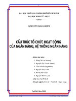 CẤU TRÚC tổ CHỨC HOẠT ĐỘNG của NGÂN HÀNG, hệ THỐNG NGÂN HÀNG 