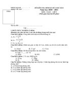 Gián án Đề KTGKII 2010-2011 Toán 5