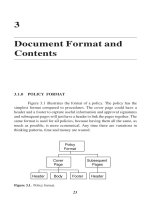 Tài liệu Document Format and Contents doc