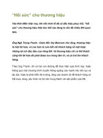 Tài liệu “Hồi sức” cho thương hiệu pdf