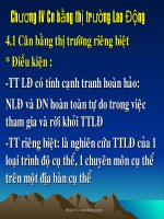 Bài giảng kinh tế lao động chương 4