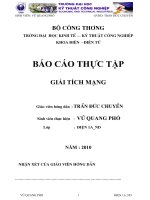 Tài liệu BÁO CÁO THỰC TẬP GIẢI TÍCH MẠNG doc