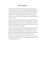 Hoàn thiện chiến lược truyền thông marketing sữa rửa mặt clean & clear 