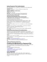 Tài liệu Password File Authentication doc