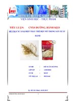 Các loại bột thay thế trong sản xuất bánh mỳ 