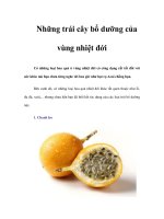 Tài liệu Những trái cây bổ dưỡng của vùng nhiệt đới pdf