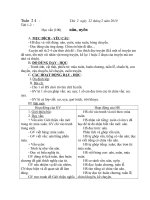 Gián án tuần 23 lơp1