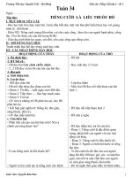 Tài liệu TV lớp 4 tuần 34