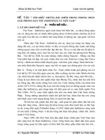 Tìm hiểu những đặc điểm trong phong trào giải phóng dân tộc của inđônêxia và việt nam 