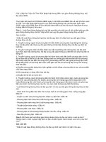 Tài liệu Gợi ý đáp án Cuộc thi Tìm hiểu pháp luật trong lĩnh vực giao thông đường thủy nội địa năm 2009 ppt