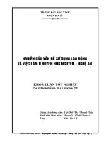 Luận văn nghiên cứu vấn đề sử dụng lao động và việc làm ở huyện hưng nguyên   nghệ an 