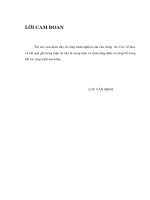 Nghiên cứu đặc điểm lâm sàng và hiệu quả điều trị ung thư âm đạo 