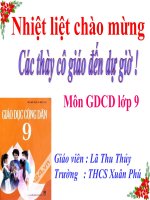 Tài liệu Vi phạm pháp luật và trách nhiệm pháp lý của công dân